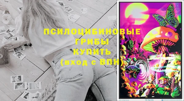 СК Абинск
