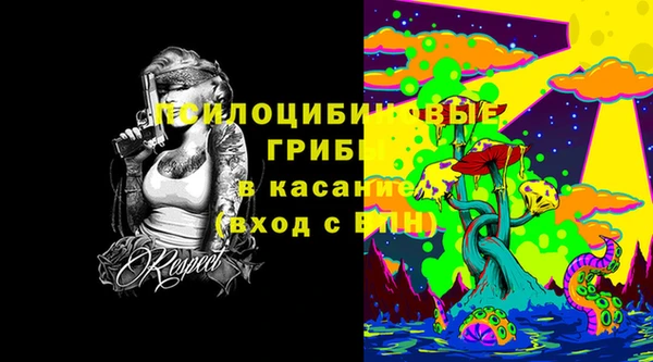 амф Абаза