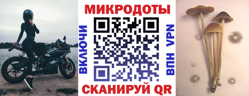 Псилоцибиновые грибы Cubensis Рыльск
